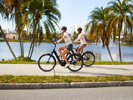 10 Best Comfort Bike Seats: Saddle, Seat, and Hybrid Options