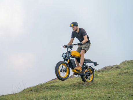 500w-e-bikes