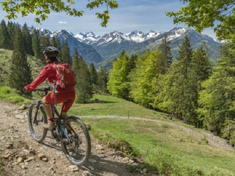 6 Rugged Full Suspension Ebike Models Flatten Extreme Hill Slopes