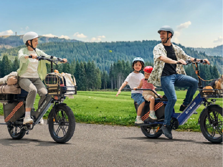 7 Practical Cargo Ebike Solutions Replacing Your Car For Short Trips