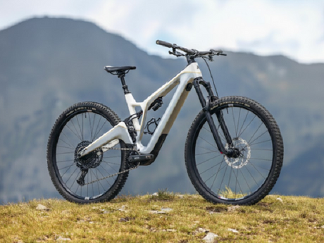8 Top Rated Full Suspension Electric Mountain Bike for Adults