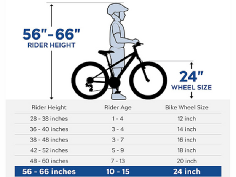 A 24 Inch Bike For What Size Person? Height and Inseam Chart
