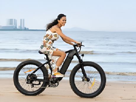 A Comprehensive Buying Guide For Finding The Best Fat Tire Ebike