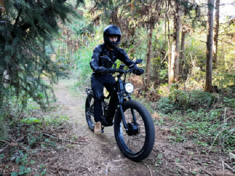 A Guide to 1000W Ebike Top Speed and Performance