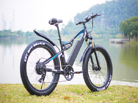 A Guide to High-Watt 1000W Ebike Motors