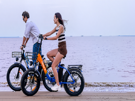 An Honest Ridstar Ebike Review: What to Expect