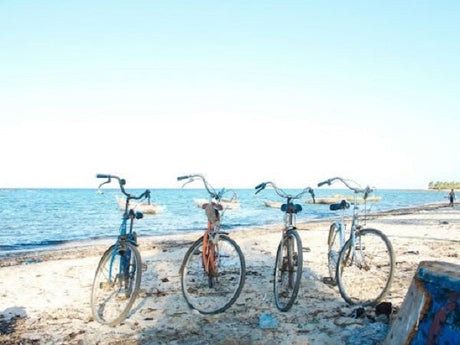 Beach Cruiser Bicycle vs. Hybrid Bicycle: Which Should You Choose?