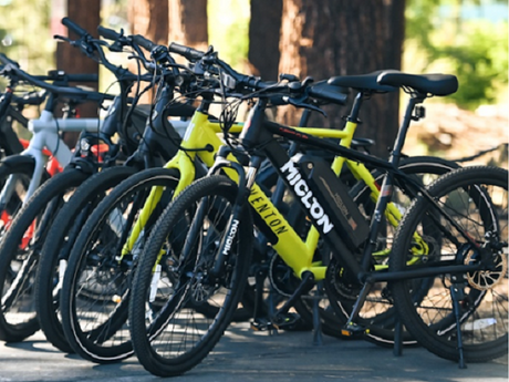 Best Bike Brands Ranking the Top 6 Manufacturers