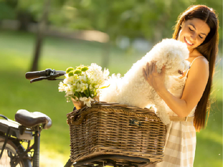 Bike Dog Carrier: Finding The Best Dog Carry Bike