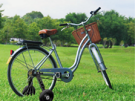 Can You Put Training Wheels on A 20 Inch Bike?