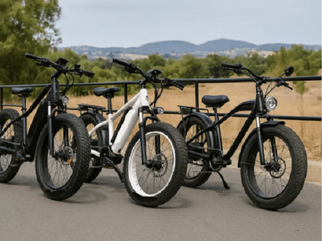 Choosing The Best E Bike Electric Bicycle: Reviews & Top 7 Picks