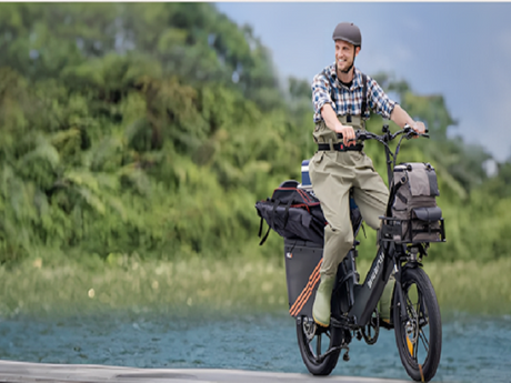 Electric Bicycle 2 Seater: Find the Best Cargo E Bike for Your Needs