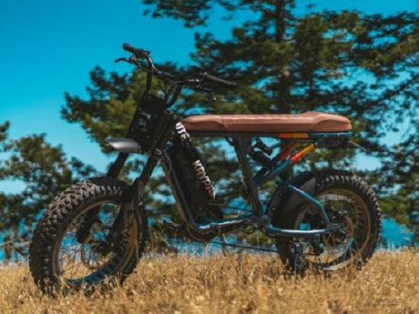 Fat Tire Moped Style Ebike: The Perfect Blend of Comfort and Attitude