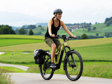 Flyer L885 vs. M880: Which Flyer Electric Bike is Best?
