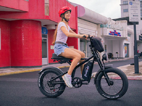 Freego Electric Bike Review: The X2 Experience