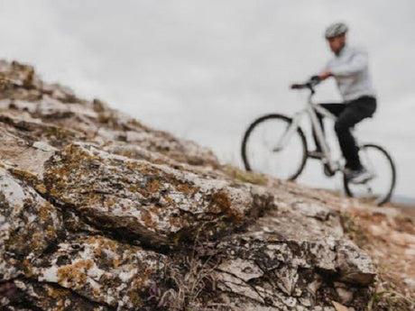 Hill Climbing Secrets: Why Your Offroad Ebike Needs High Torque