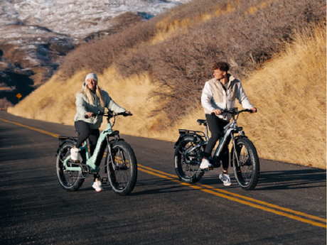 Himiway D5 vs. Cobra: Which Himiway Electric Bike Is Best?
