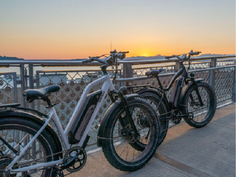 Himiway Electric Bike Battle: Cruiser Bikes vs. Fat Tire Bikes