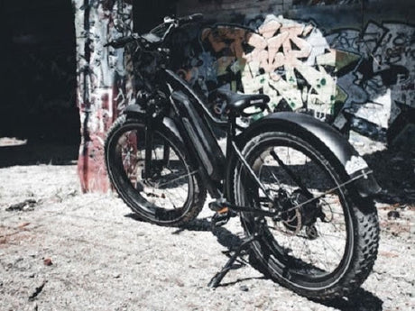 How An Affordable Electric Bike Saves Gas And Bus Money
