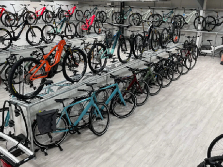 How to Get the Best Deals: Online vs. an "Electric Bike Store Near Me"