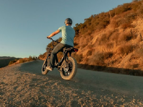 Invest In Long Lasting Quality By Choosing The Best E Bike Brands