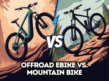 Offroad Ebike vs. Mountain Bike: Key Differences