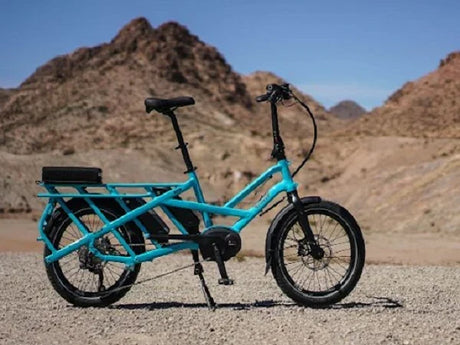 Selecting The Right E Bike Bicycle Design For Commuting And Cargo