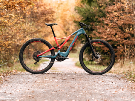 Specialized Electric Bike: Mountain Ebikes vs. Budget Fat Tire Ebikes