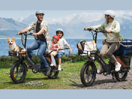 The Best Bike Basket for the Front or Rear of Your Bike