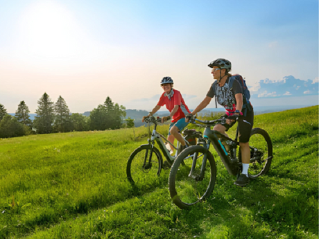 The Fastest Mini Bikes for Adults: A Need for Speed Guide