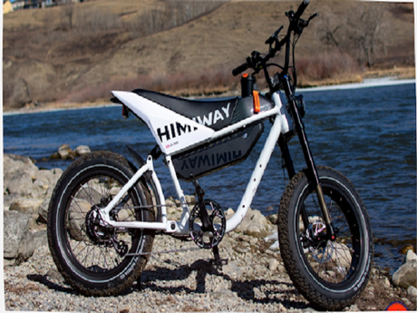 The Himiway Ebike Buyer's Guide: Zebra & Cobra