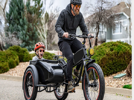 The Pros and Cons of an Ebike With Sidecar