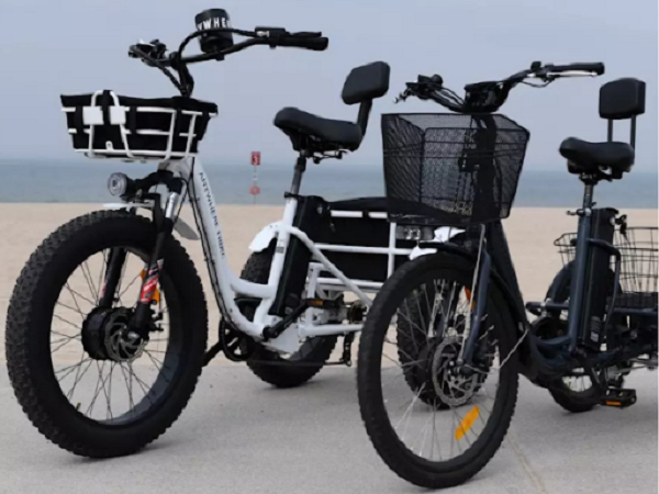 3 wheel bicycle with electric motor The Sleigh Plus Cargo Trike LCD Display The backlit LCD display plays an important role for our bikes Spytan 2 Front Wheel eTrike