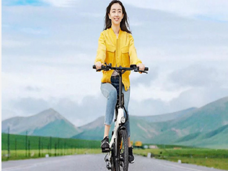 The Ultimate Long Range E-Bike Buyer's Guide