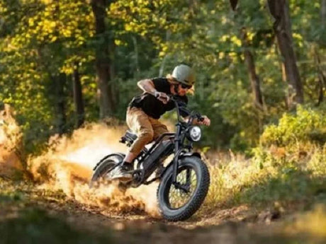 Top 6 Offroad Fat Tire Ebike Designs Built For All Weather Rides