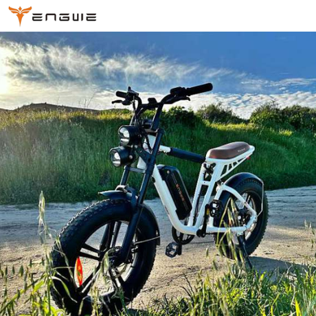 ENGWE Ebike and Other Top Long Range Ebikes for Every Rider