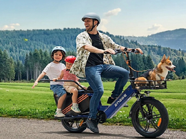 Two Seater Electric Bicycle: Best Family Ebike Options  ENGWE Official