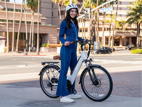 adult-electric-bike