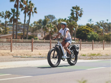 best-fat-tire-e-bikes