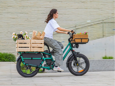 cargo-e-bike