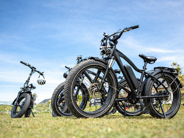 cheapest electric bicycle VICTRIP R6 Bike for Teens & Adults, 16" Fat Tire, 28MPH, 48V 15Ah Battery, Dual Suspension, Range 60 Miles, LG Battery suitable for travel and mountain cross Cheap, budget electric bikes costing