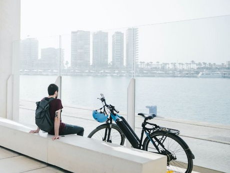 dual-battery-e-bikes