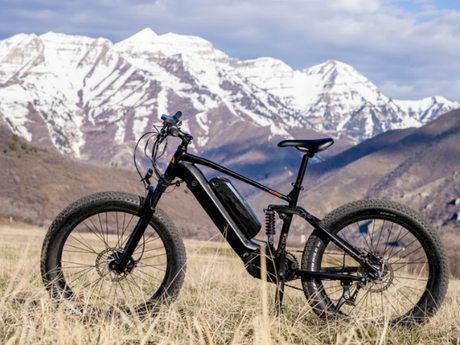 dual-battery-e-bikes