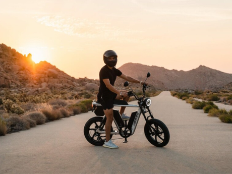 dual-battery-e-bikes