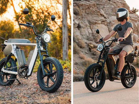 dual-battery-ebike
