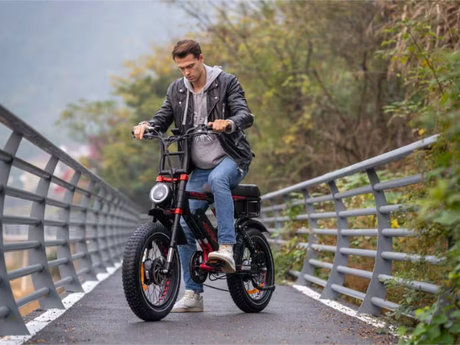dual-motor-e-bike