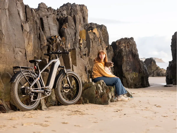 Why You Need an Electric Bike Fat Tire Model for All Terrain – ENGWE  Official
