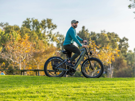 e-bikes-for-adults