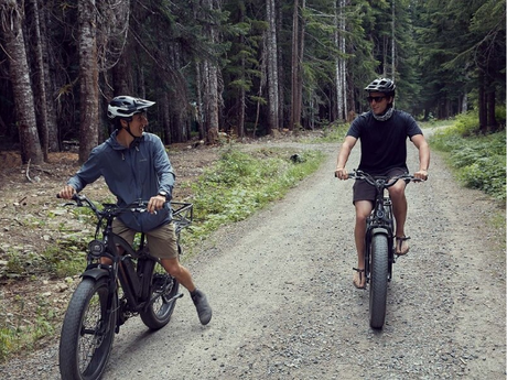e-bikes-for-sale