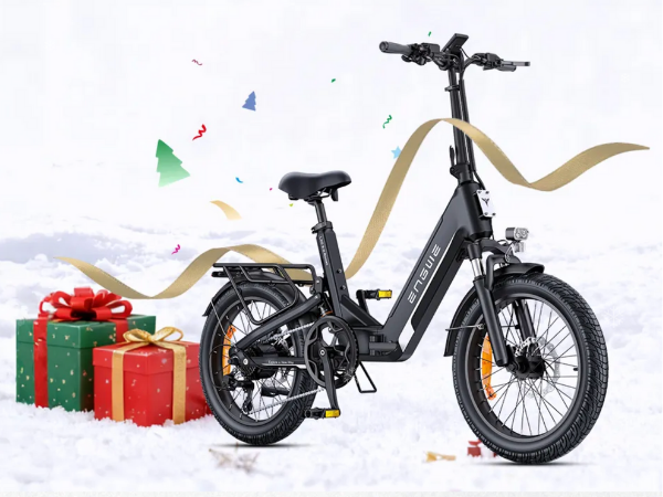 electric bike urban Denago City 3 Step-thru eBike Red / S/M Inhalt:500 ml terrain fat tires Motocross Gear Bags - Type:Glove